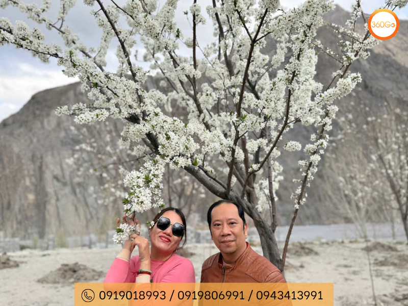 Vẻ đẹp tinh khôi của hoa mận - Du lịch 360Go 